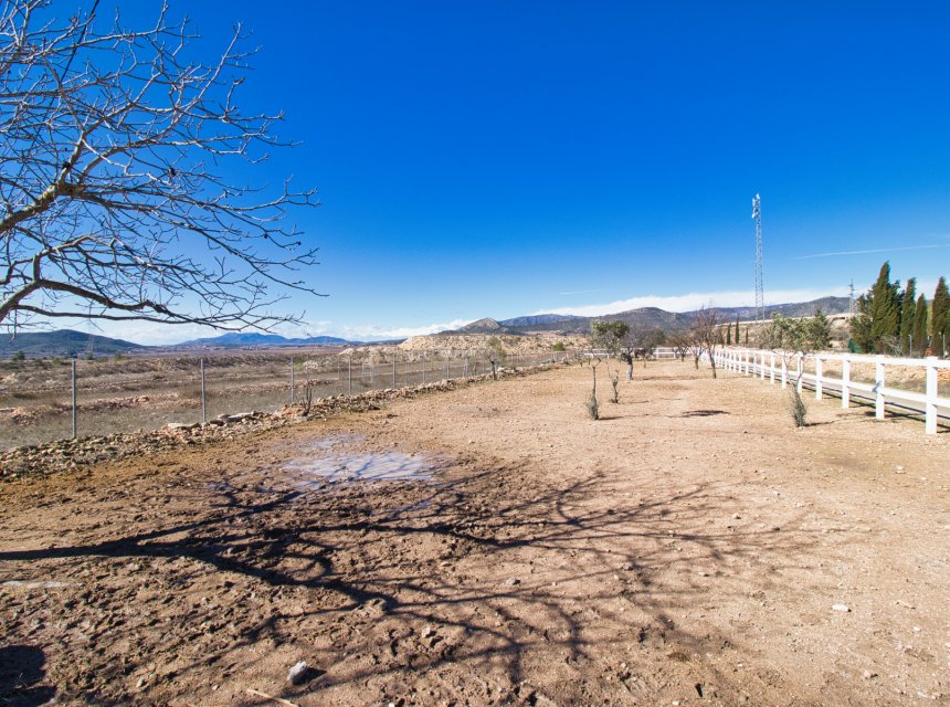 Reventa - Equestrian -
Monovar - Monóver