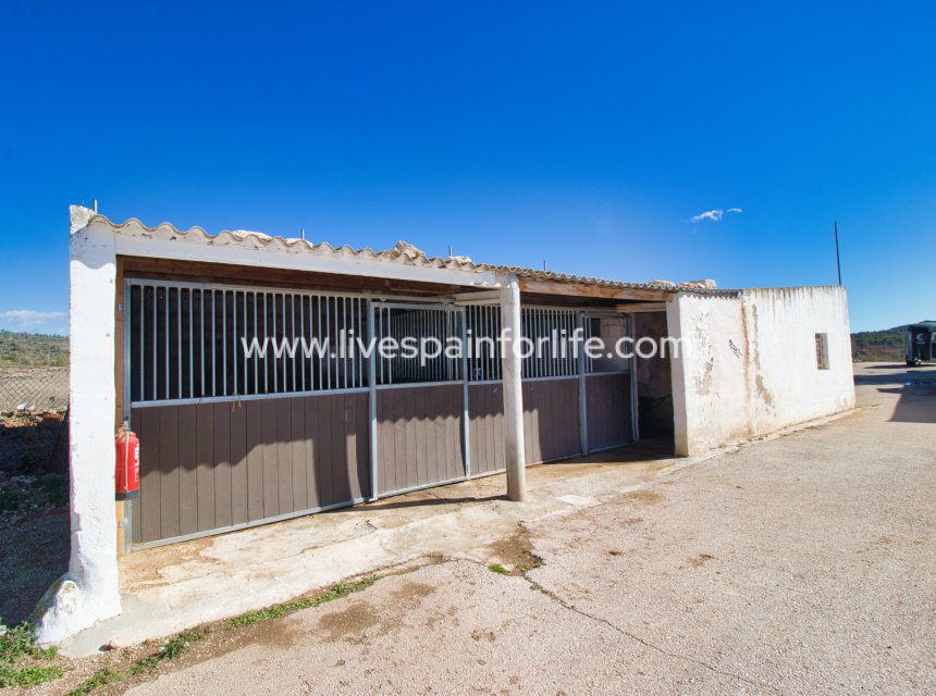 Reventa - Equestrian -
Monovar - Monóver