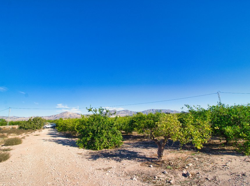Reventa - Plot of Land -
Albatera