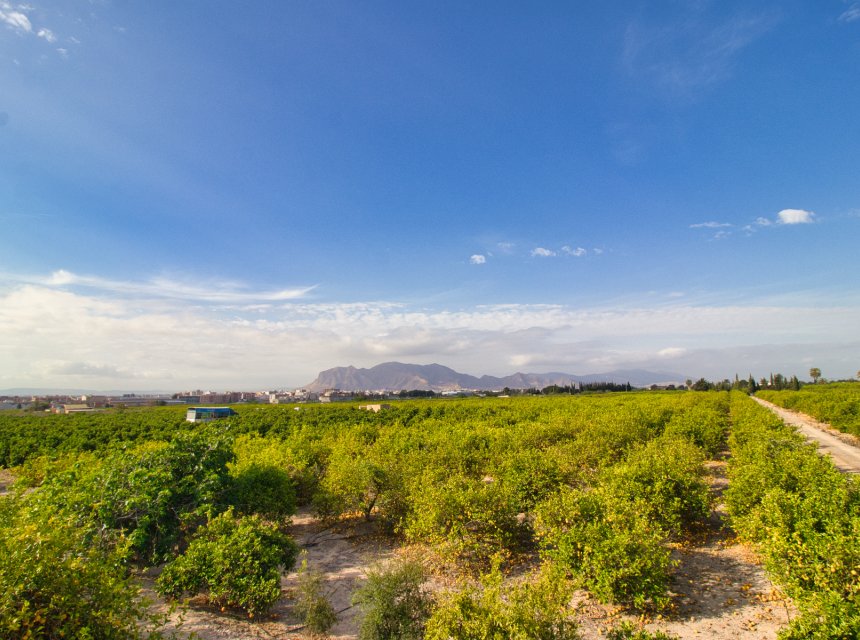 Reventa - Plot of Land -
Albatera