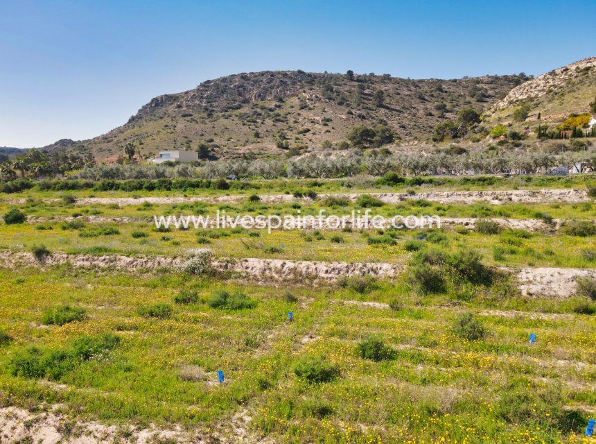 Reventa - Plot of Land -
Aspe