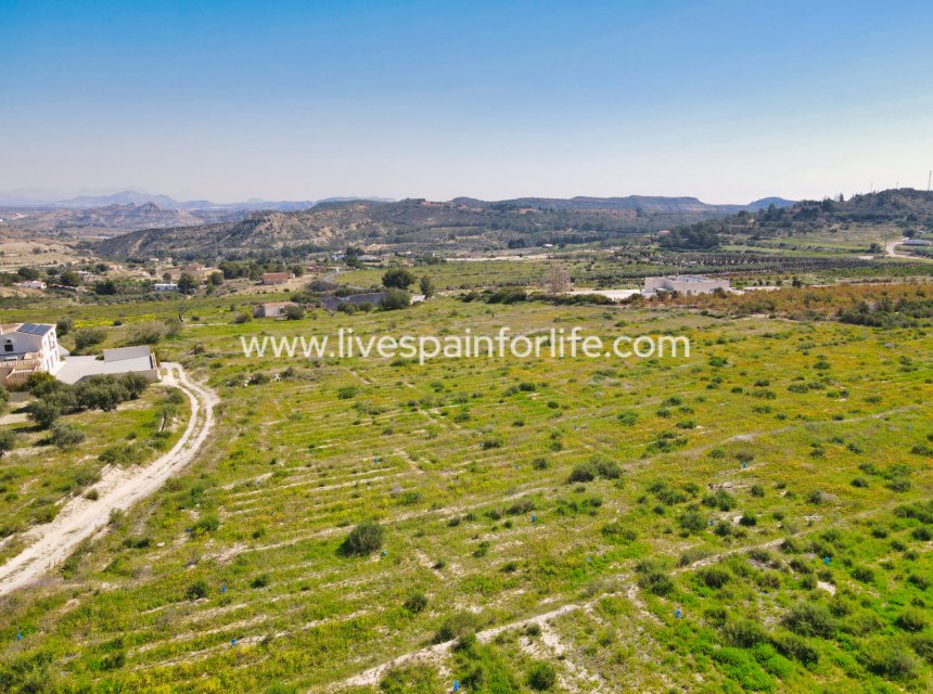 Reventa - Plot of Land -
Aspe