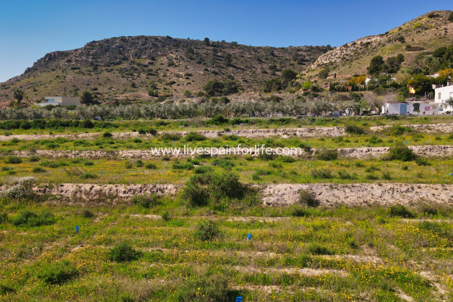 Reventa - Plot of Land -
Aspe