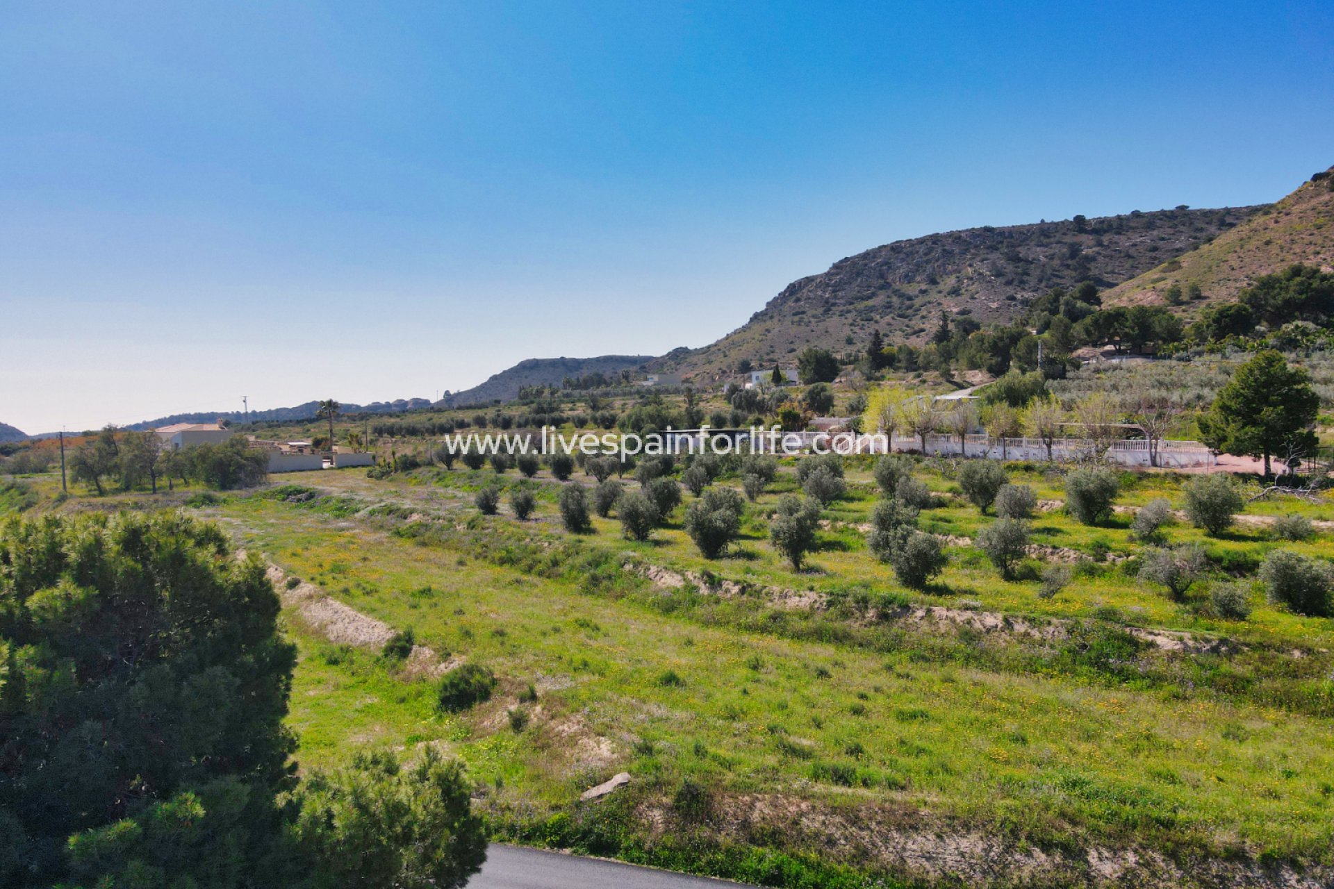 Reventa - Plot of Land -
Aspe