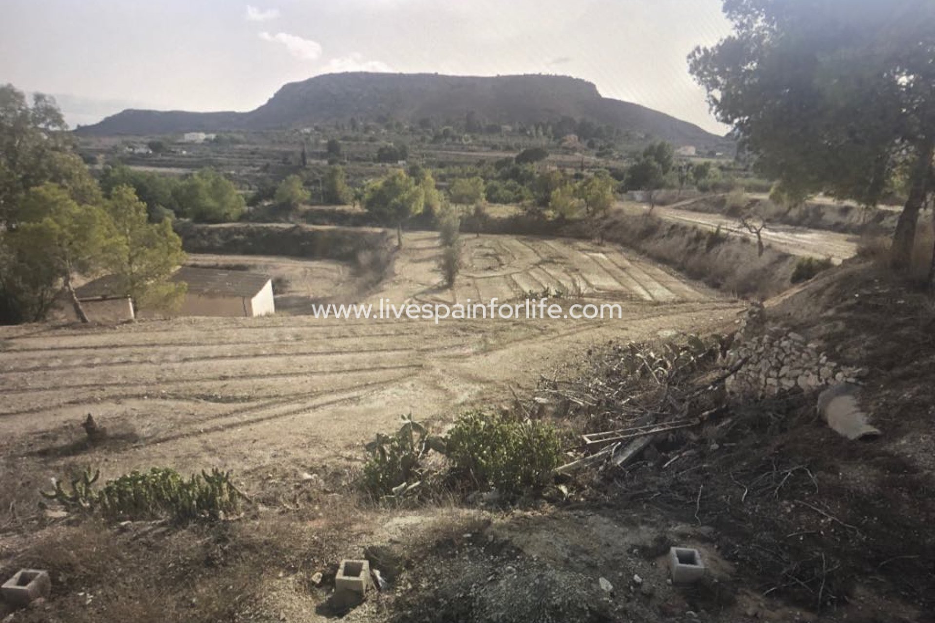 Reventa - Plot of Land -
Aspe