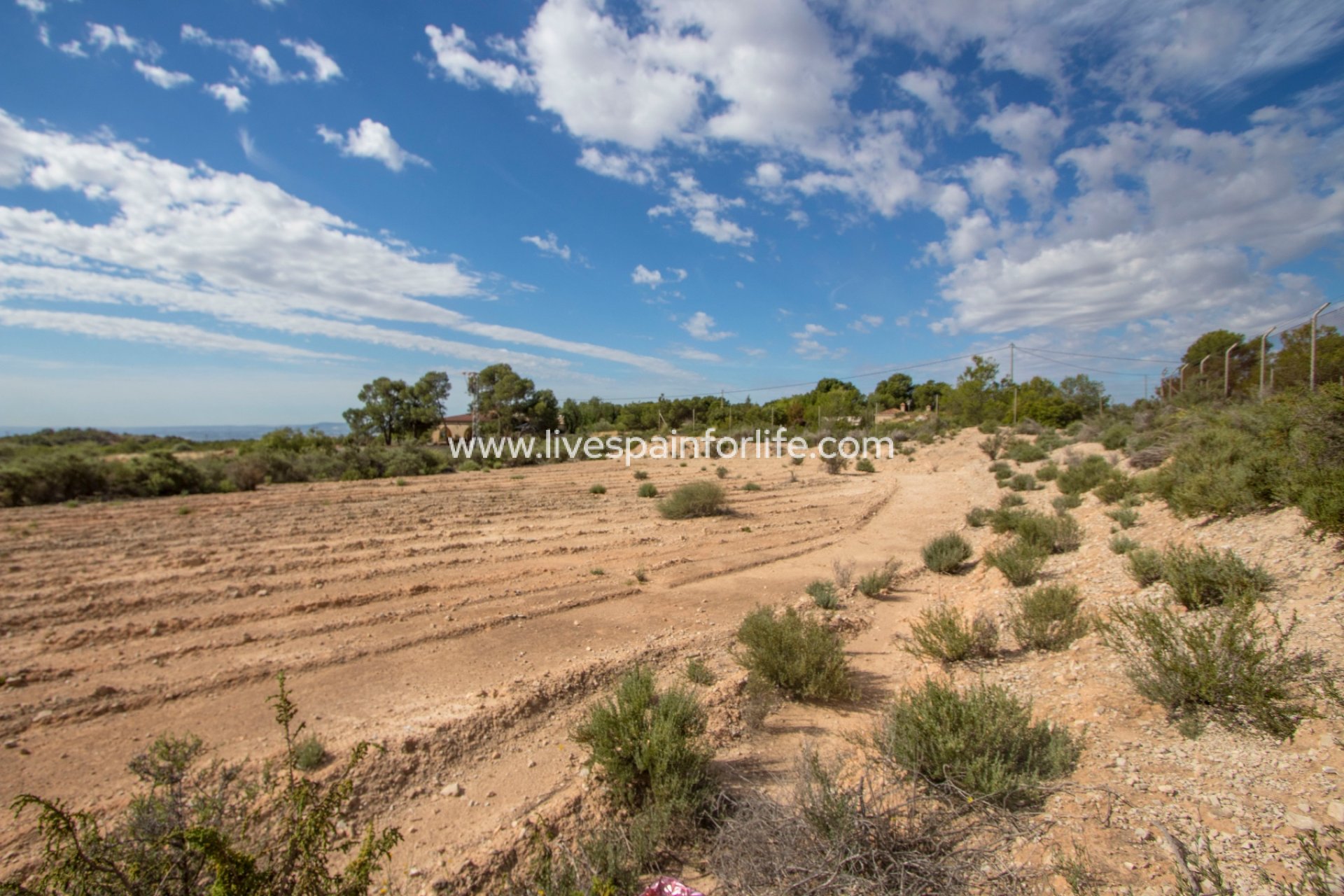 Reventa - Plot of Land -
Crevillent