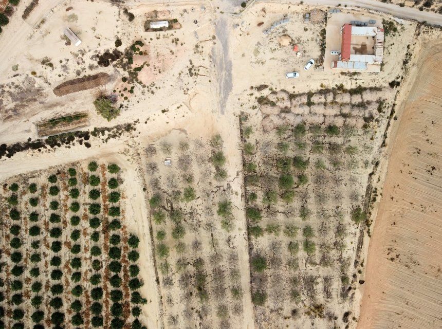 Reventa - Plot of Land -
Torremendo - Torremendo - Country