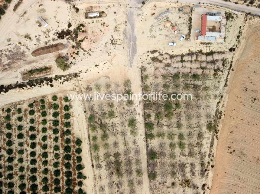 Reventa - Plot of Land -
Torremendo