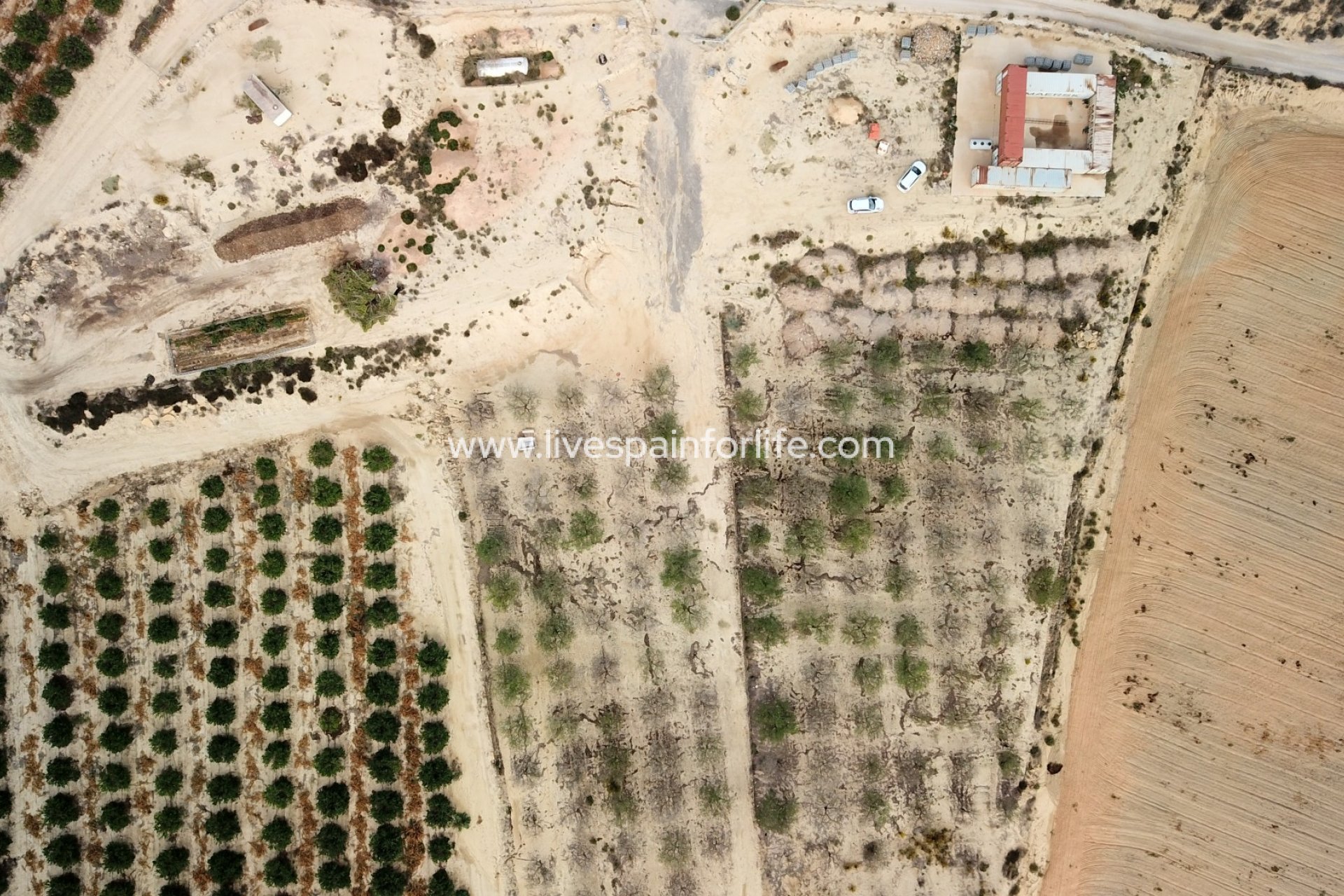 Reventa - Plot of Land -
Torremendo