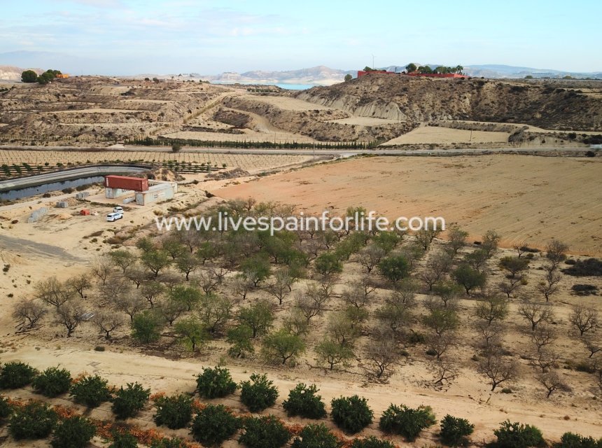 Reventa - Plot of Land -
Torremendo