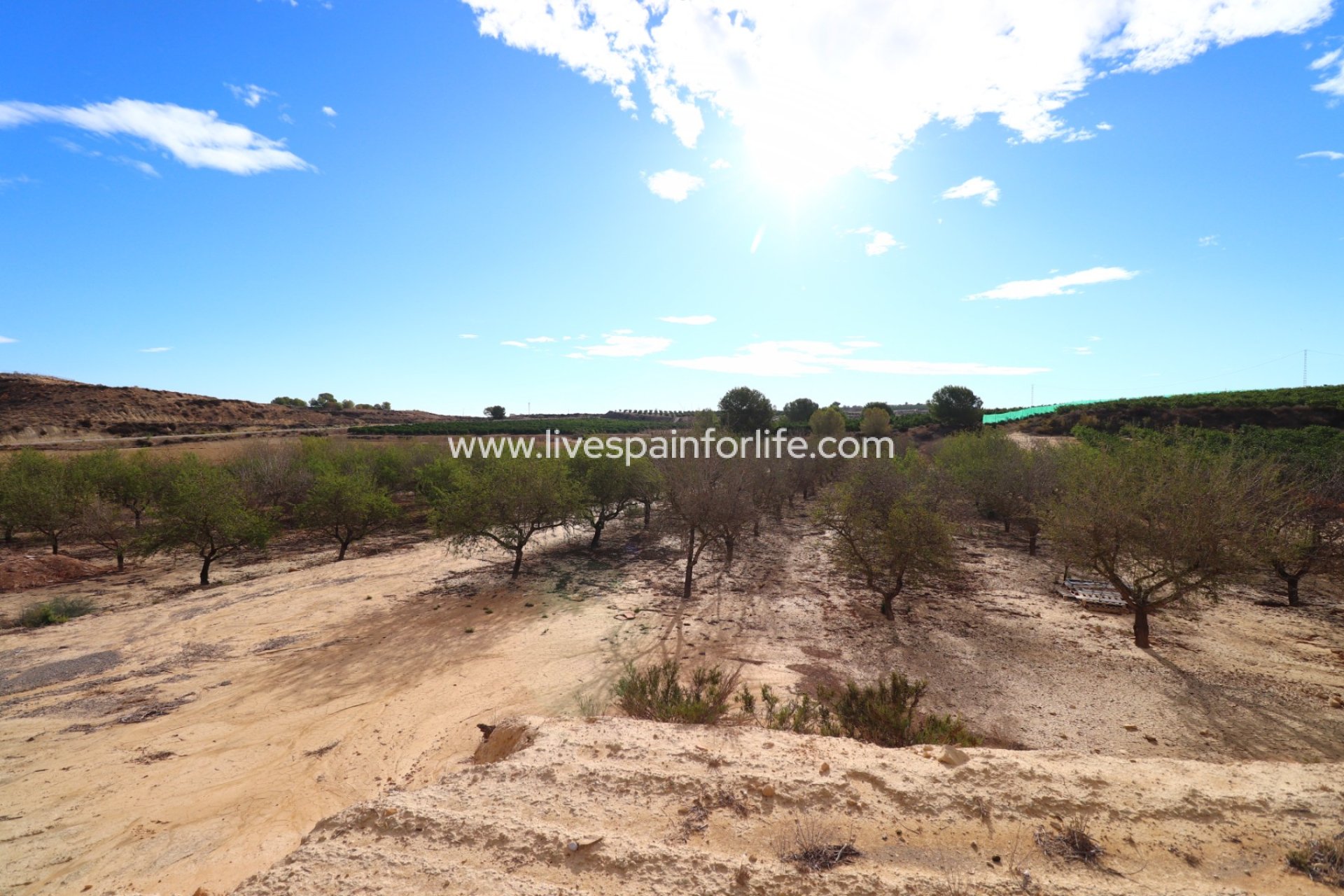 Reventa - Plot of Land -
Torremendo