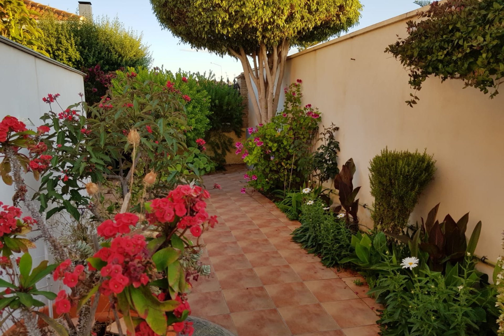 Reventa - Semi-detached house / Quad -
San Javier - Santiago de la Ribera