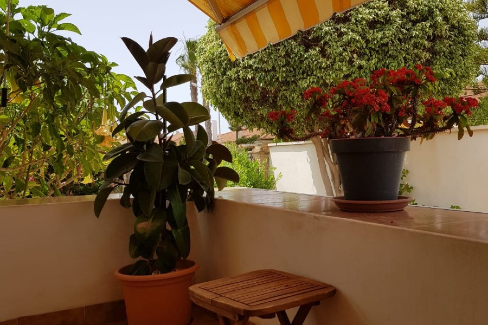 Reventa - Semi-detached house / Quad -
San Javier - Santiago de la Ribera