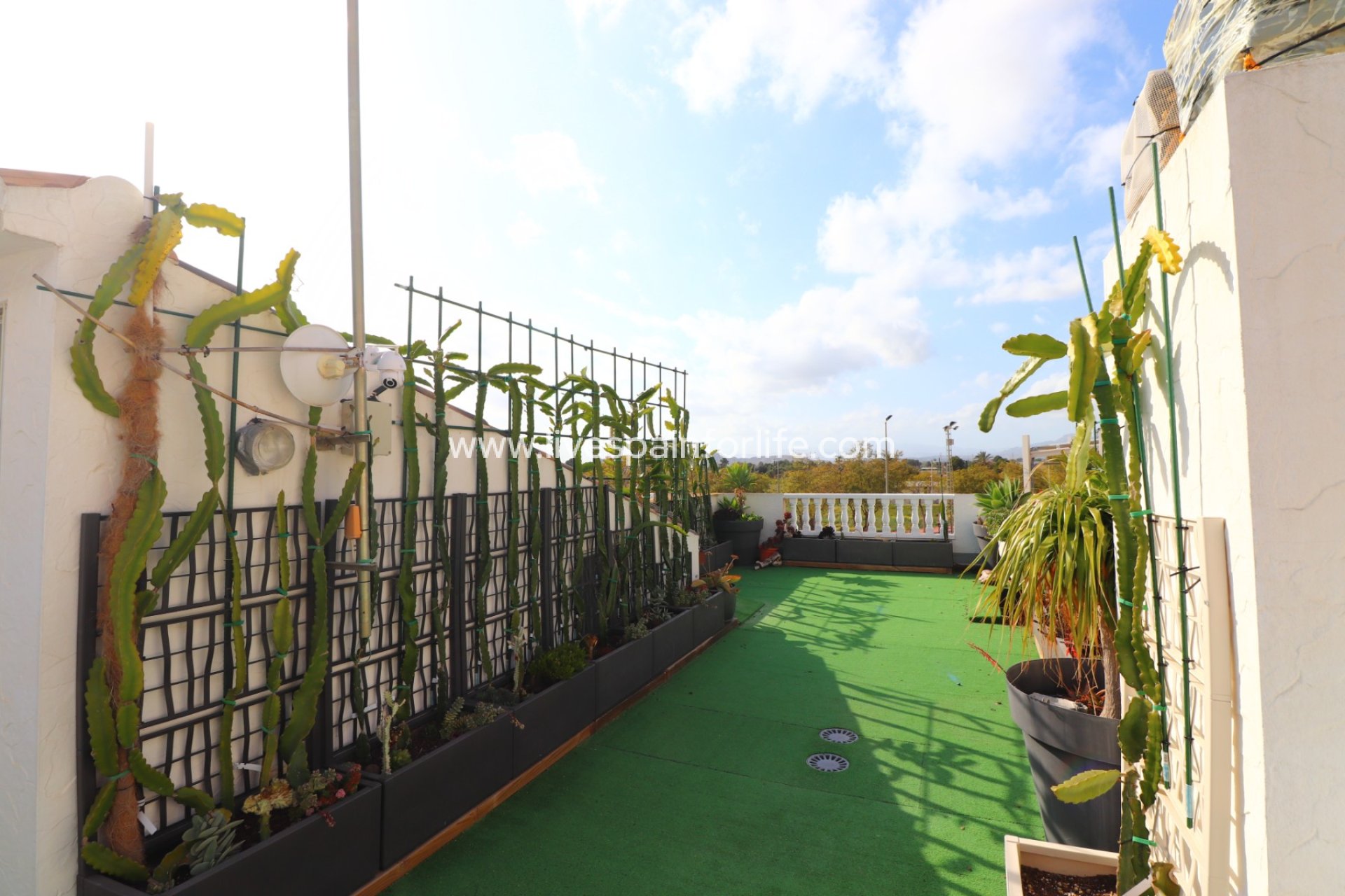 Reventa - Town house -
Redovan - Redovan - Town