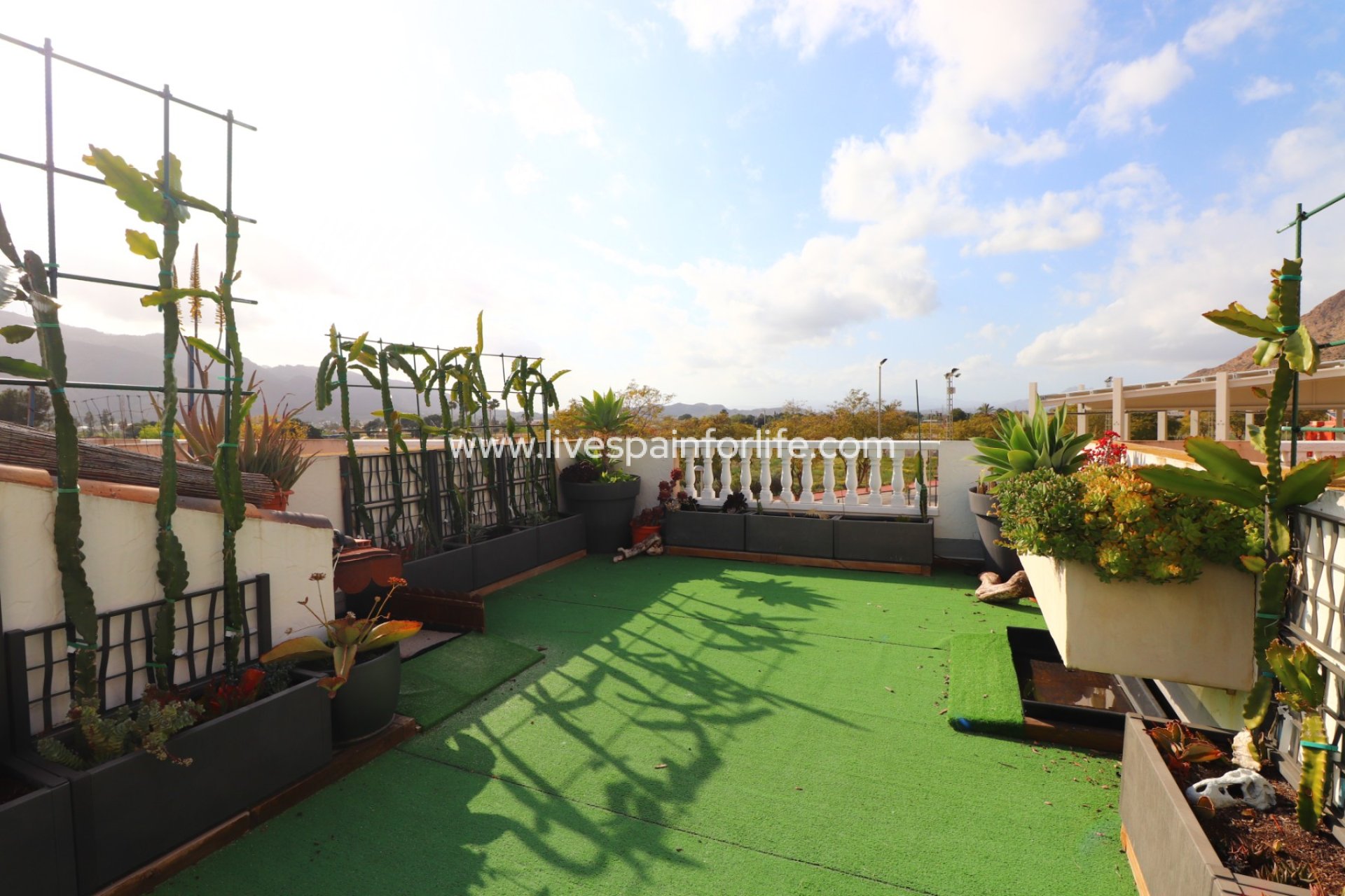 Reventa - Town house -
Redovan - Redovan - Town