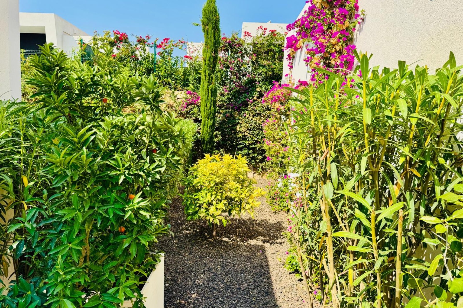 Reventa - Villa (detached) -
Algorfa - La Finca Golf