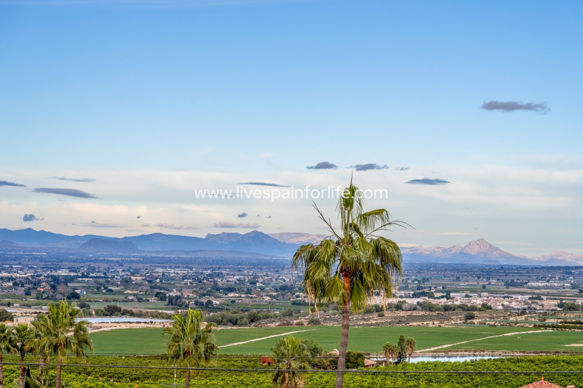 Reventa - Villa (detached) -
Algorfa - Lomas De La Juliana