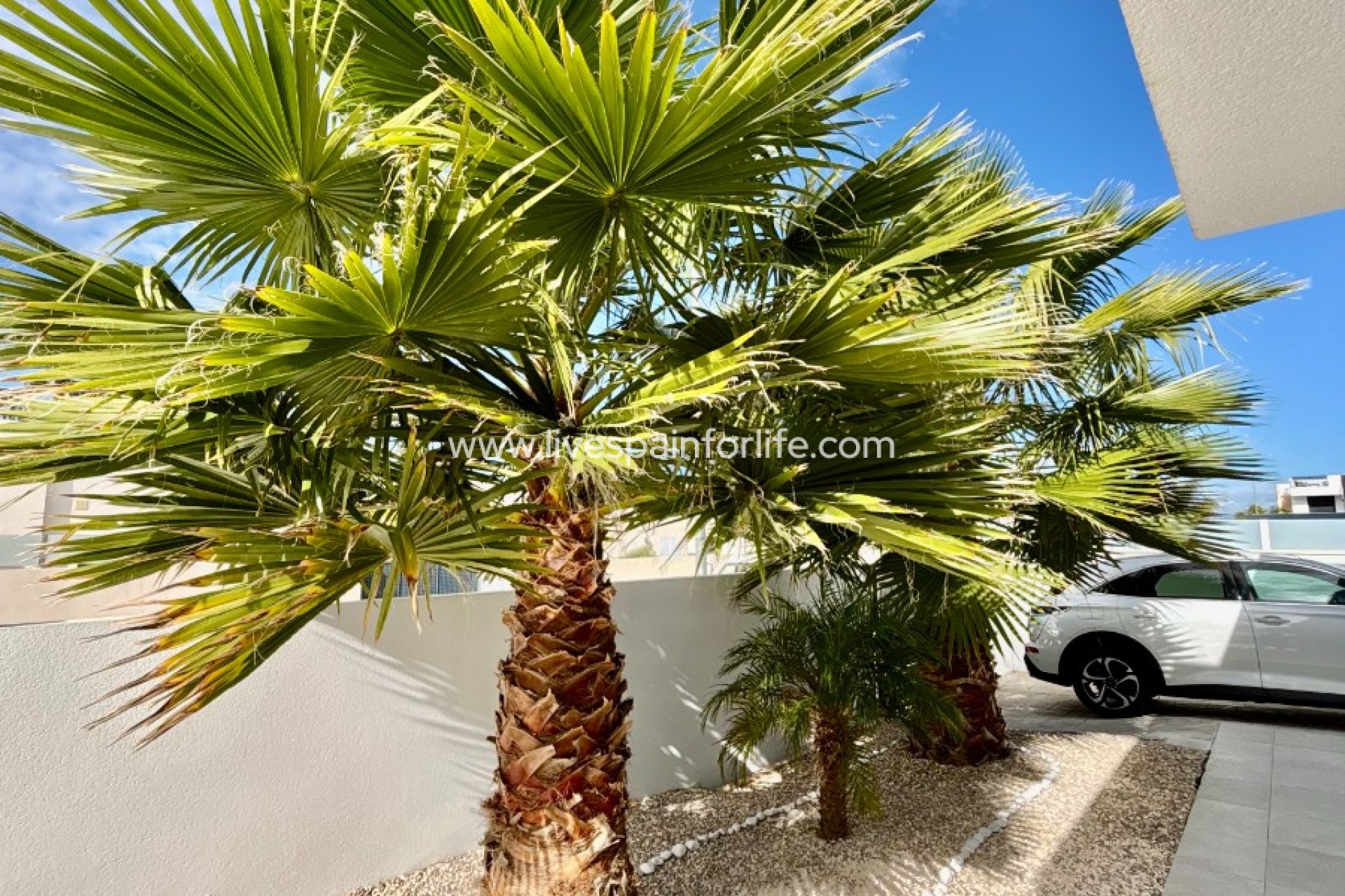 Reventa - Villa (detached) -
Benijofar