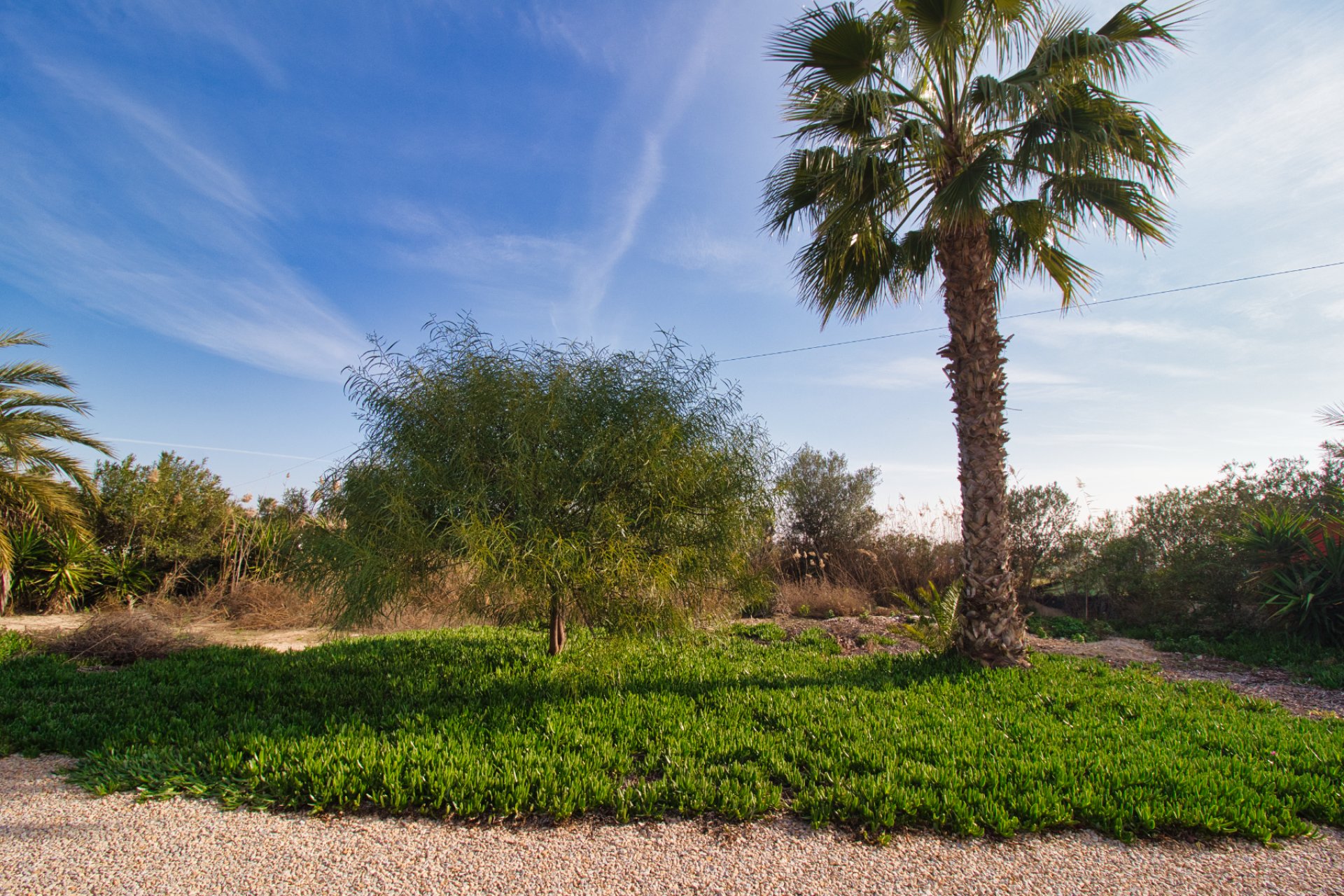 Reventa - Villa (detached) -
Catral