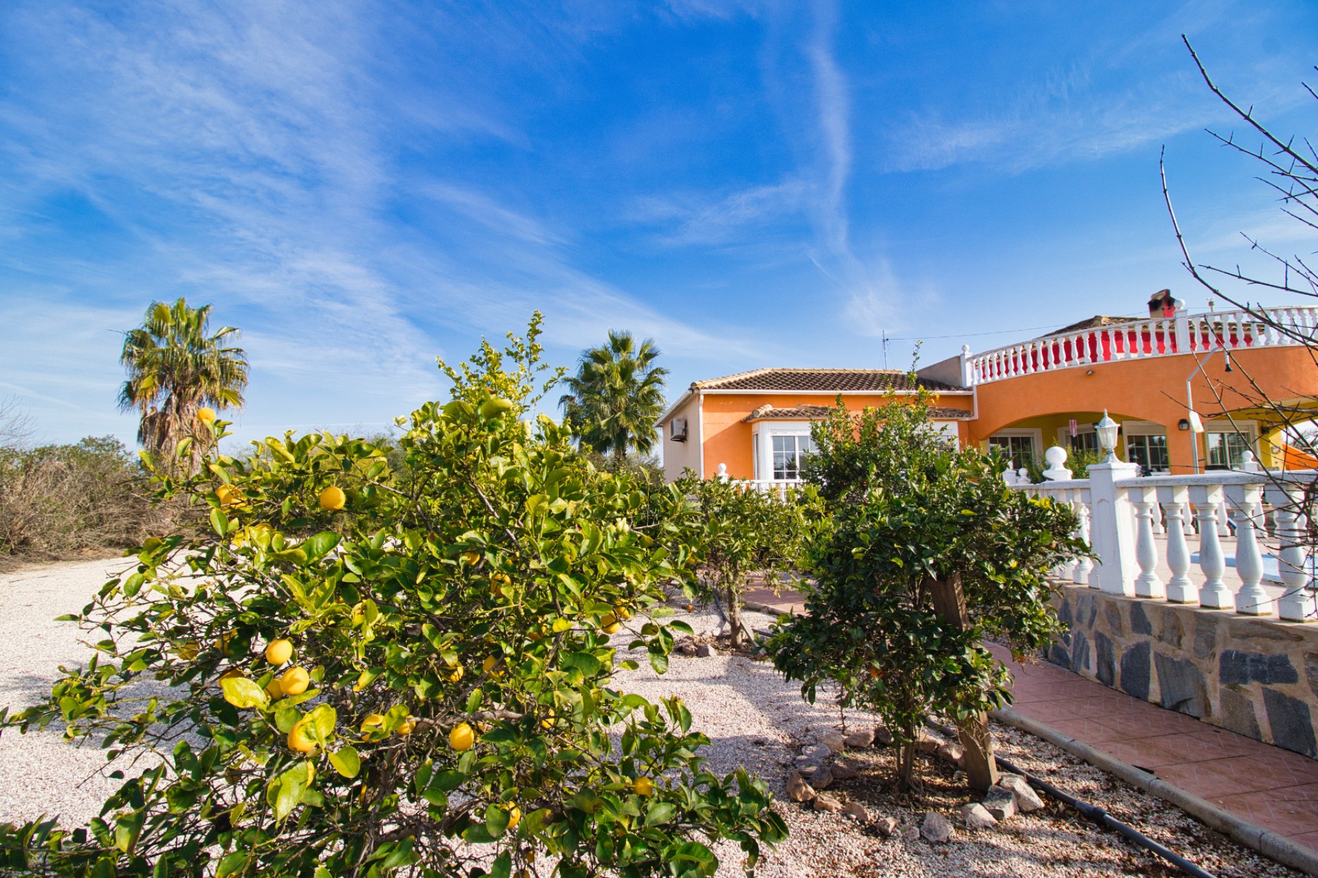 Reventa - Villa (detached) -
Catral