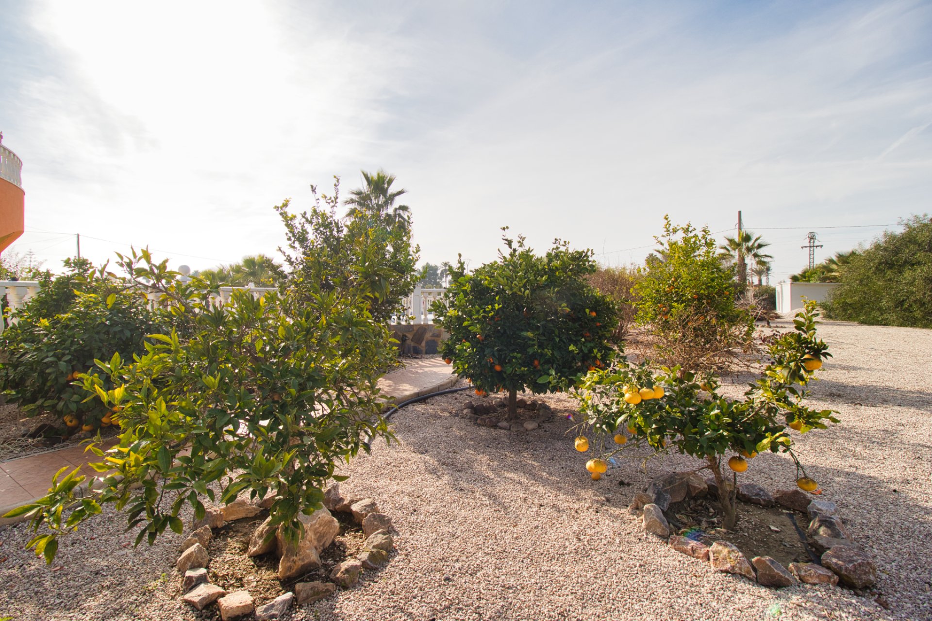 Reventa - Villa (detached) -
Catral