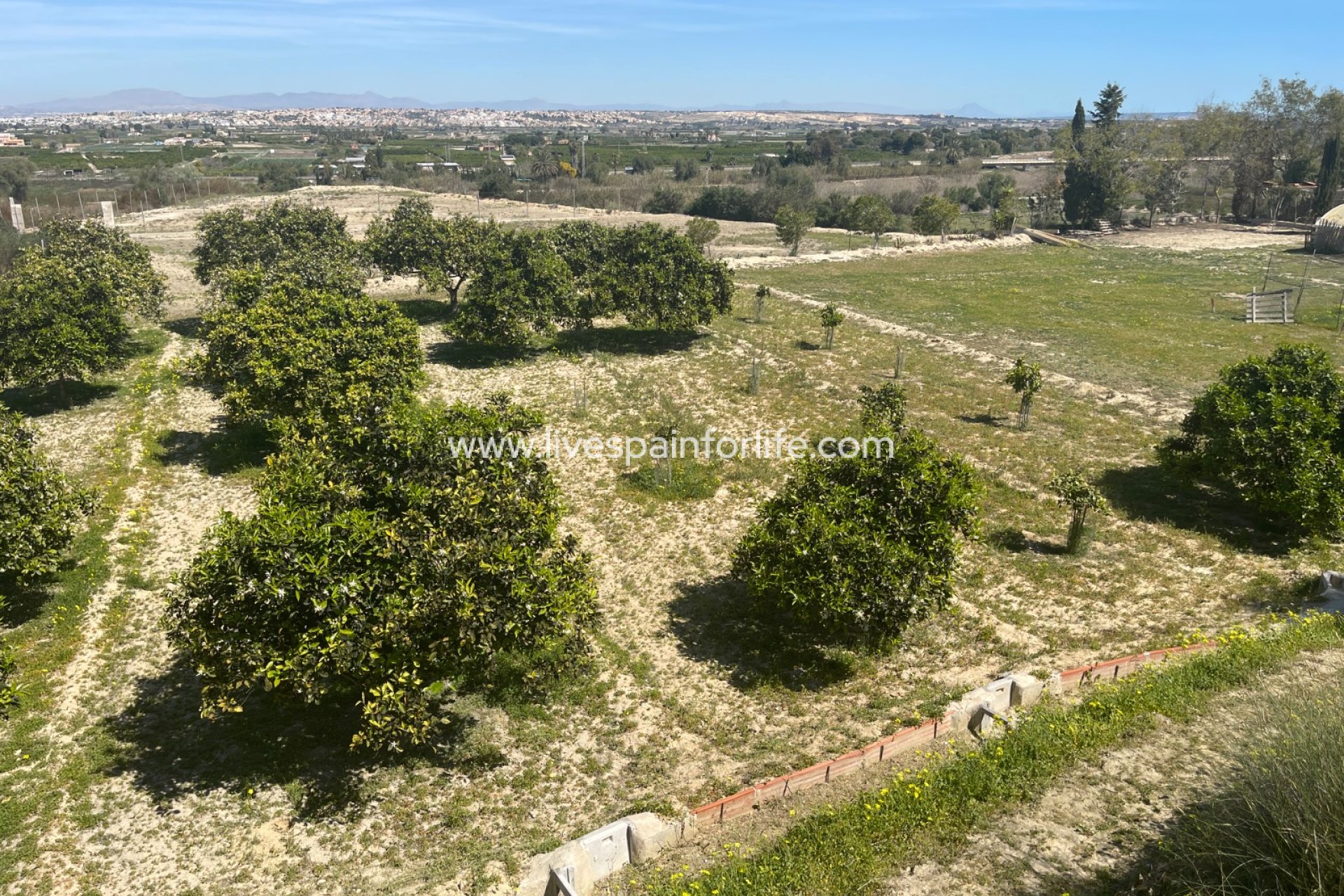 Reventa - Villa (detached) -
Guardamar del Segura - Valencian Community