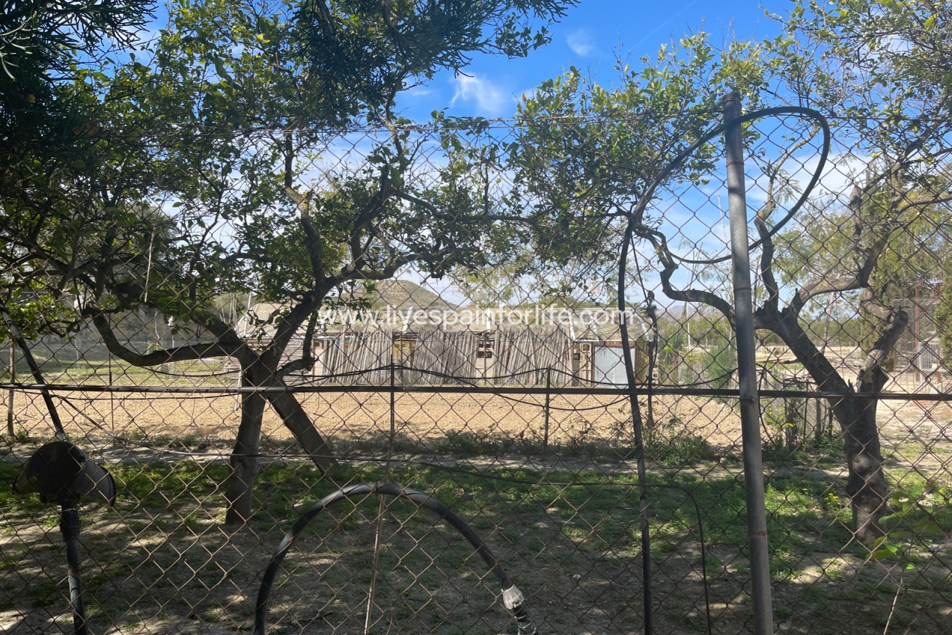 Reventa - Villa (detached) -
Guardamar del Segura - Valencian Community