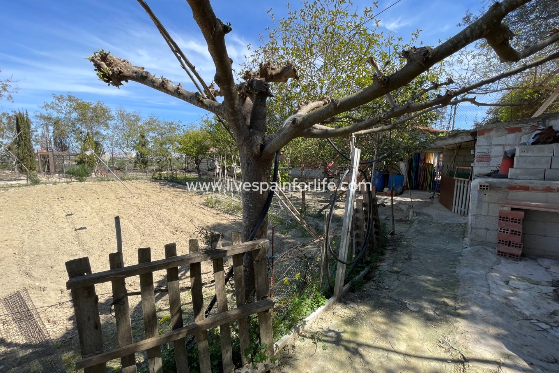 Reventa - Villa (detached) -
Guardamar del Segura - Valencian Community