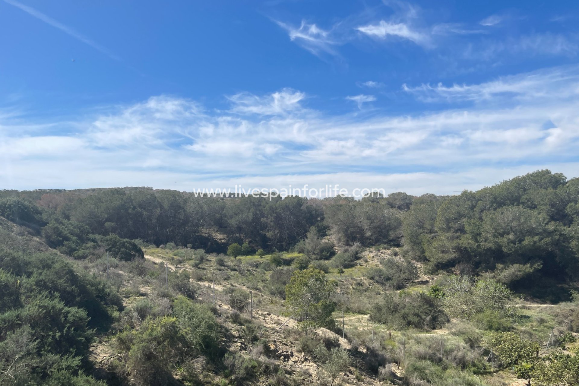 Reventa - Villa (detached) -
Guardamar del Segura - Valencian Community
