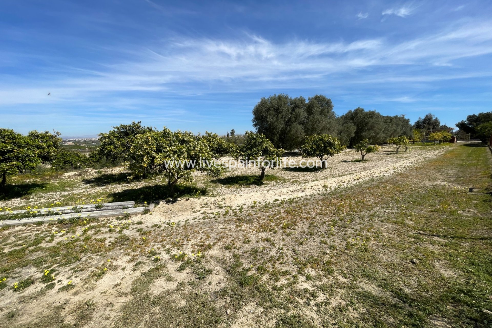 Reventa - Villa (detached) -
Guardamar del Segura - Valencian Community