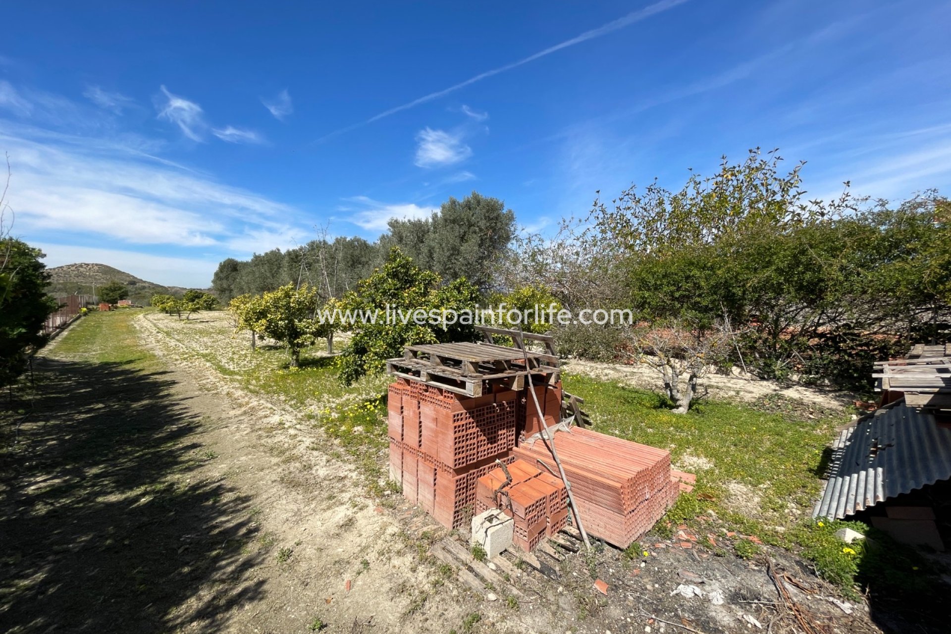Reventa - Villa (detached) -
Guardamar del Segura - Valencian Community
