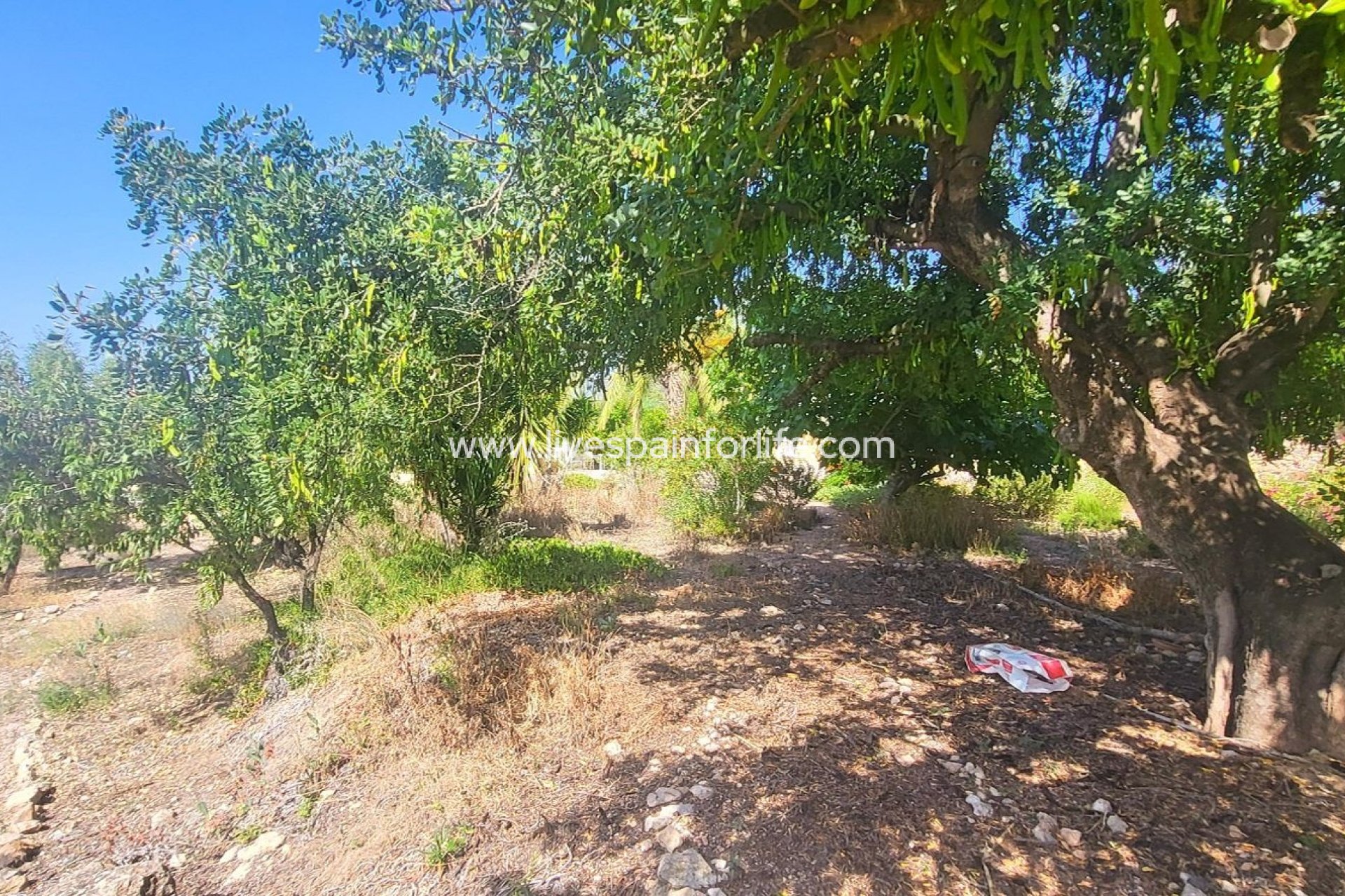 Reventa - Villa (detached) -
Hondon De Las Nieves