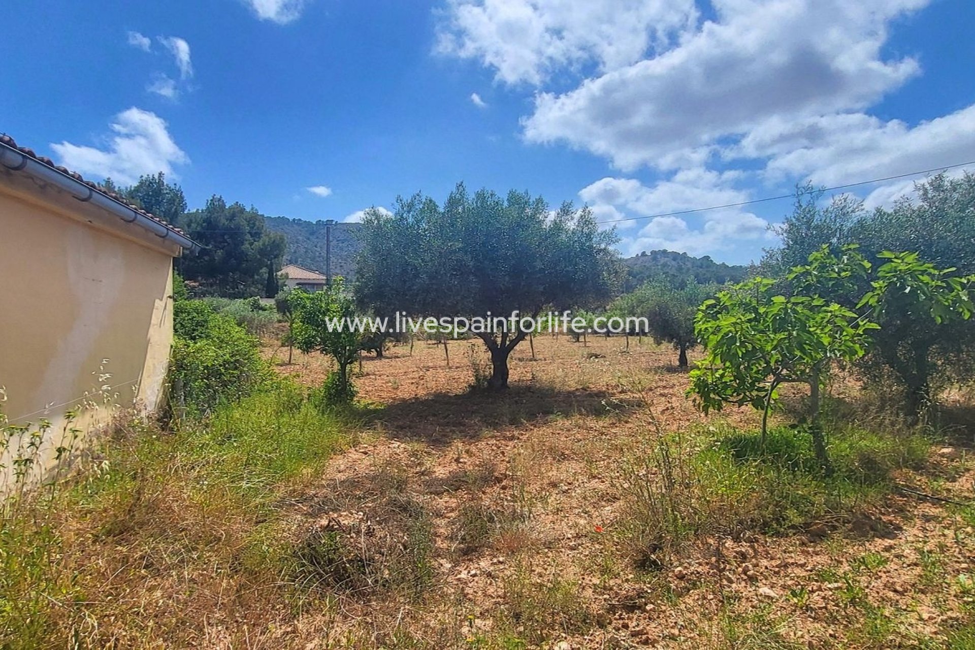 Reventa - Villa (detached) -
Hondon De Las Nieves