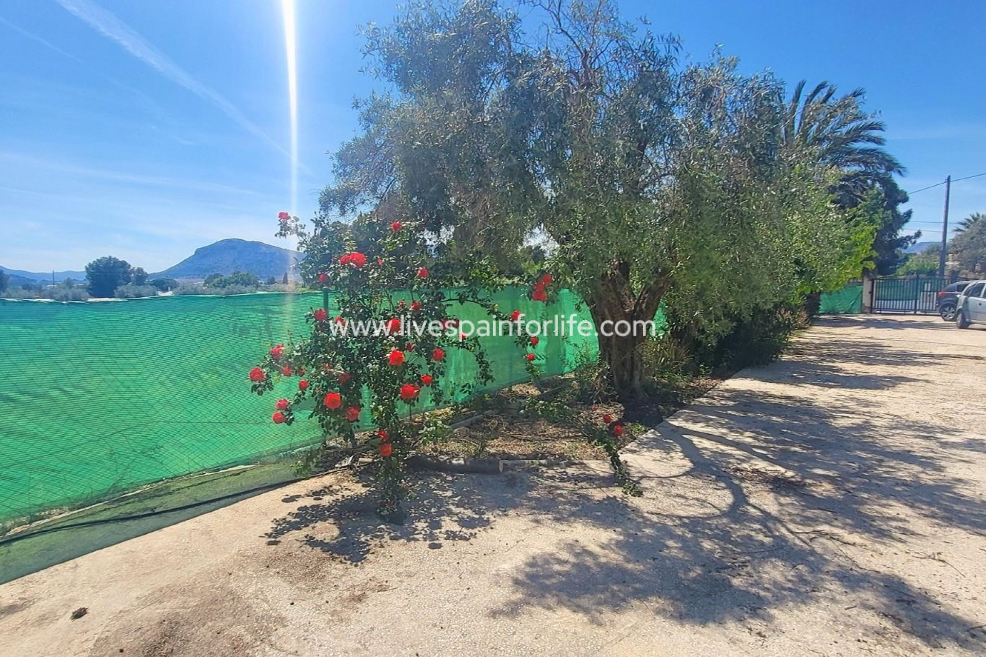 Reventa - Villa (detached) -
La Romana