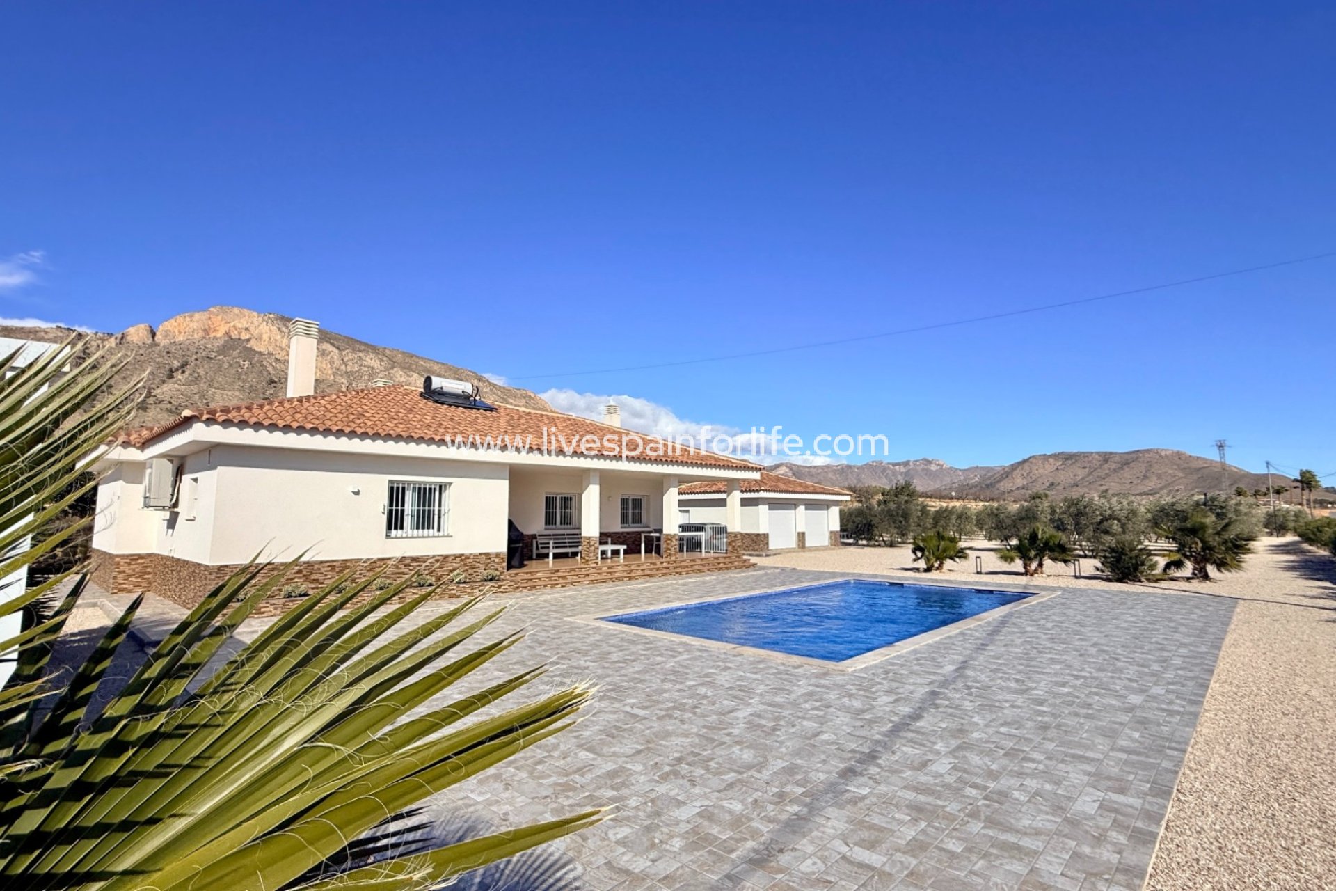 Reventa - Villa (detached) -
Macisvenda