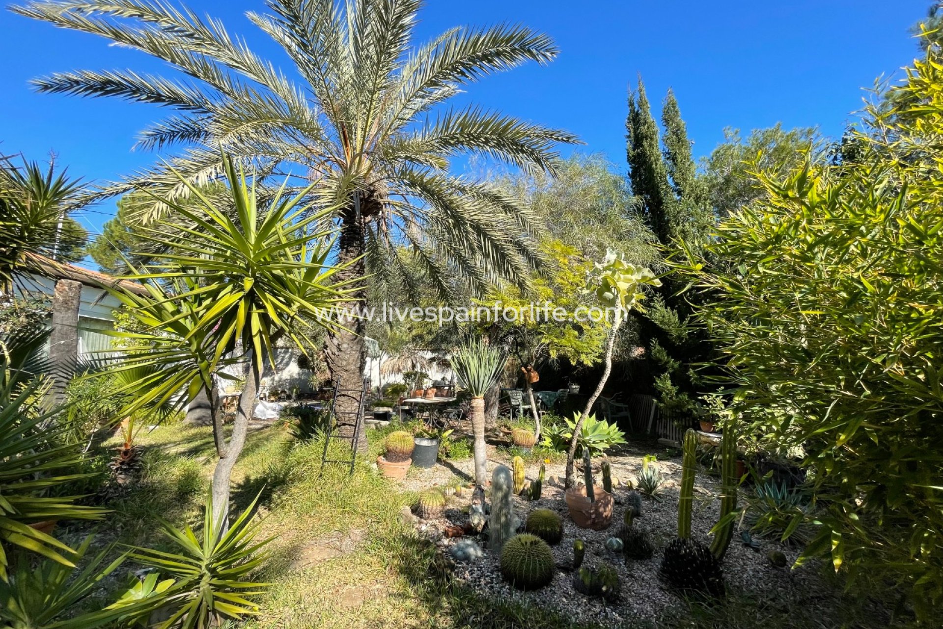 Reventa - Villa (detached) -
Orihuela Costa - Lomas de Cabo Roig