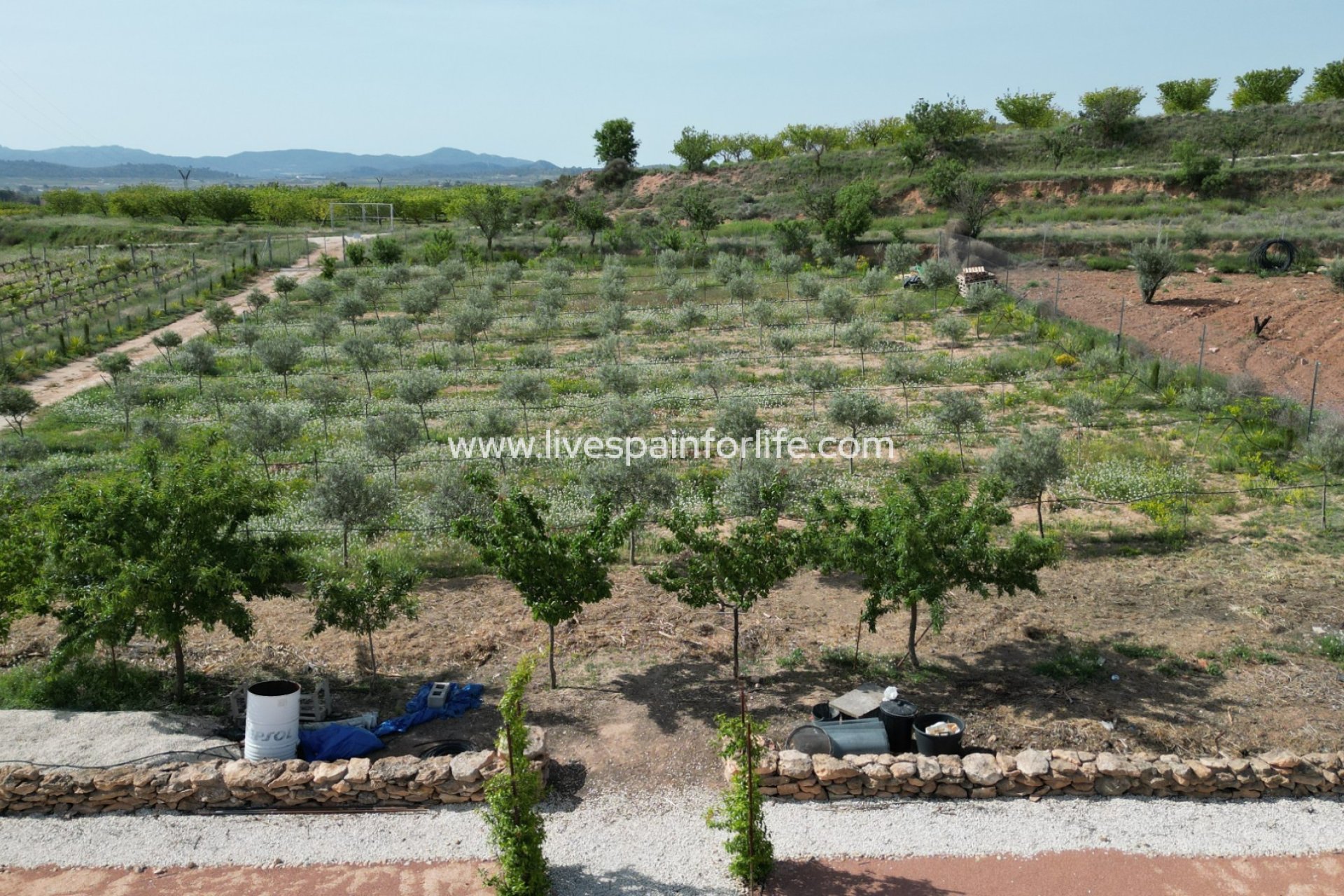 Reventa - Villa (detached) -
Pinoso