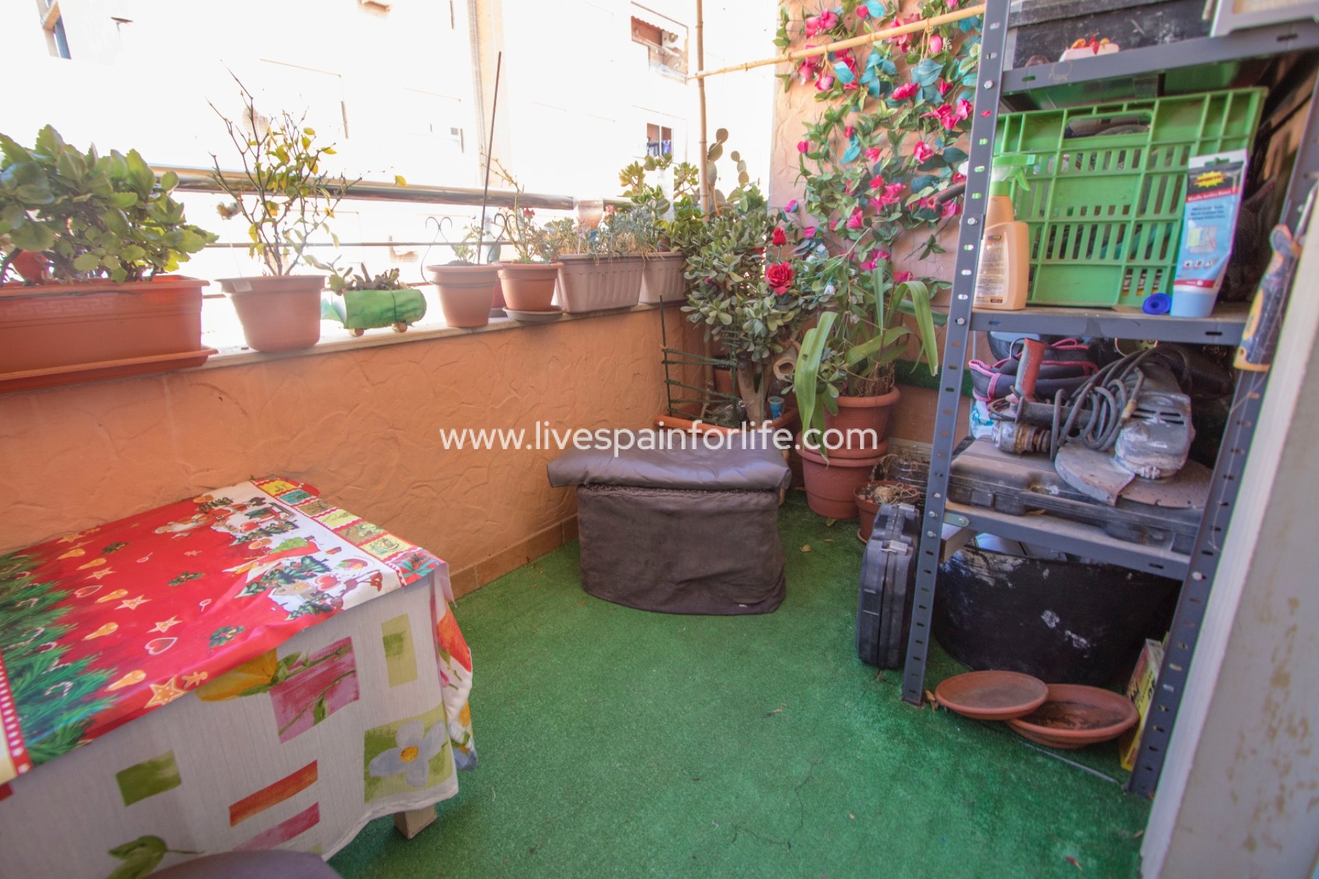 Revente - Apartments -
Albatera