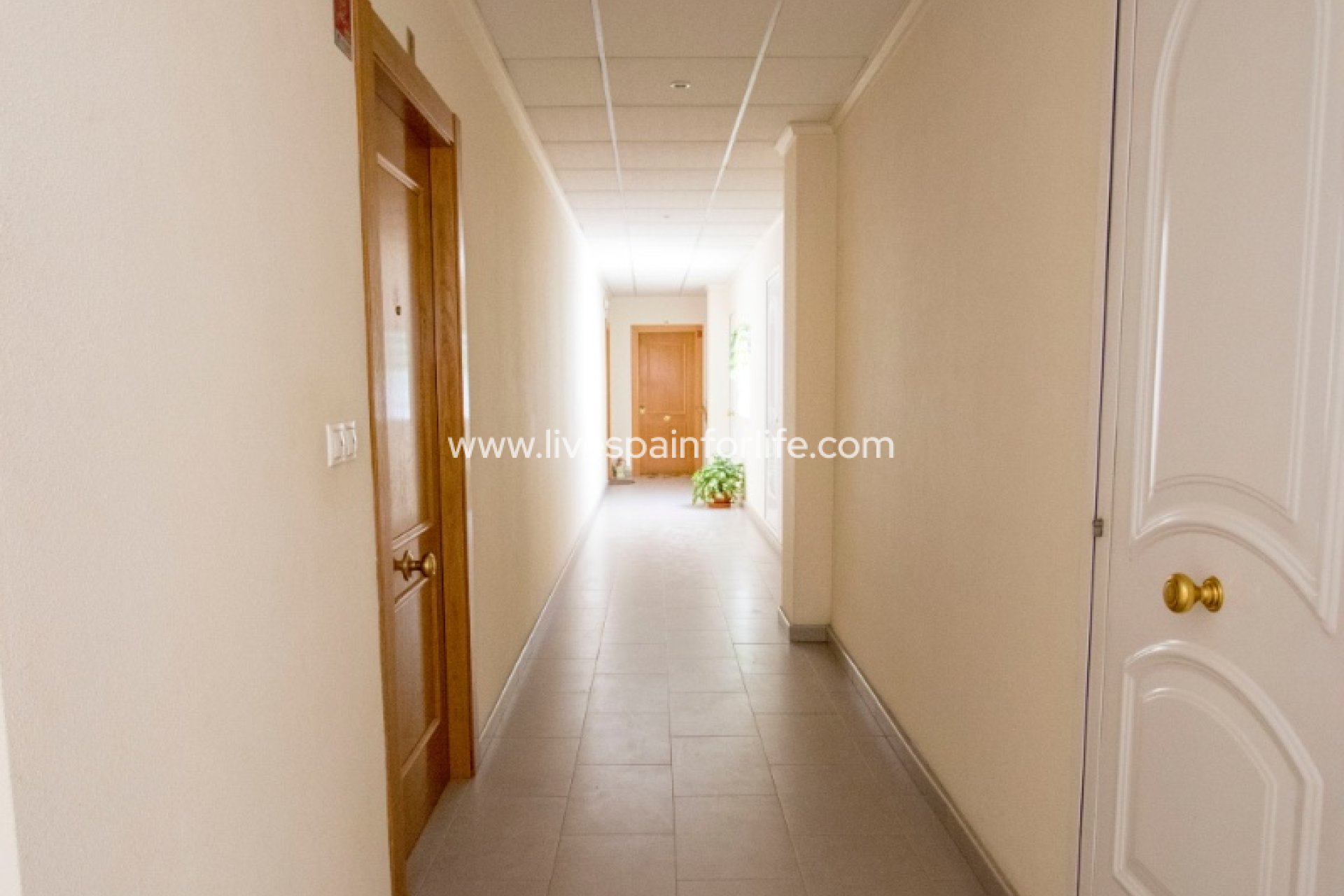 Revente - Apartments -
Albatera