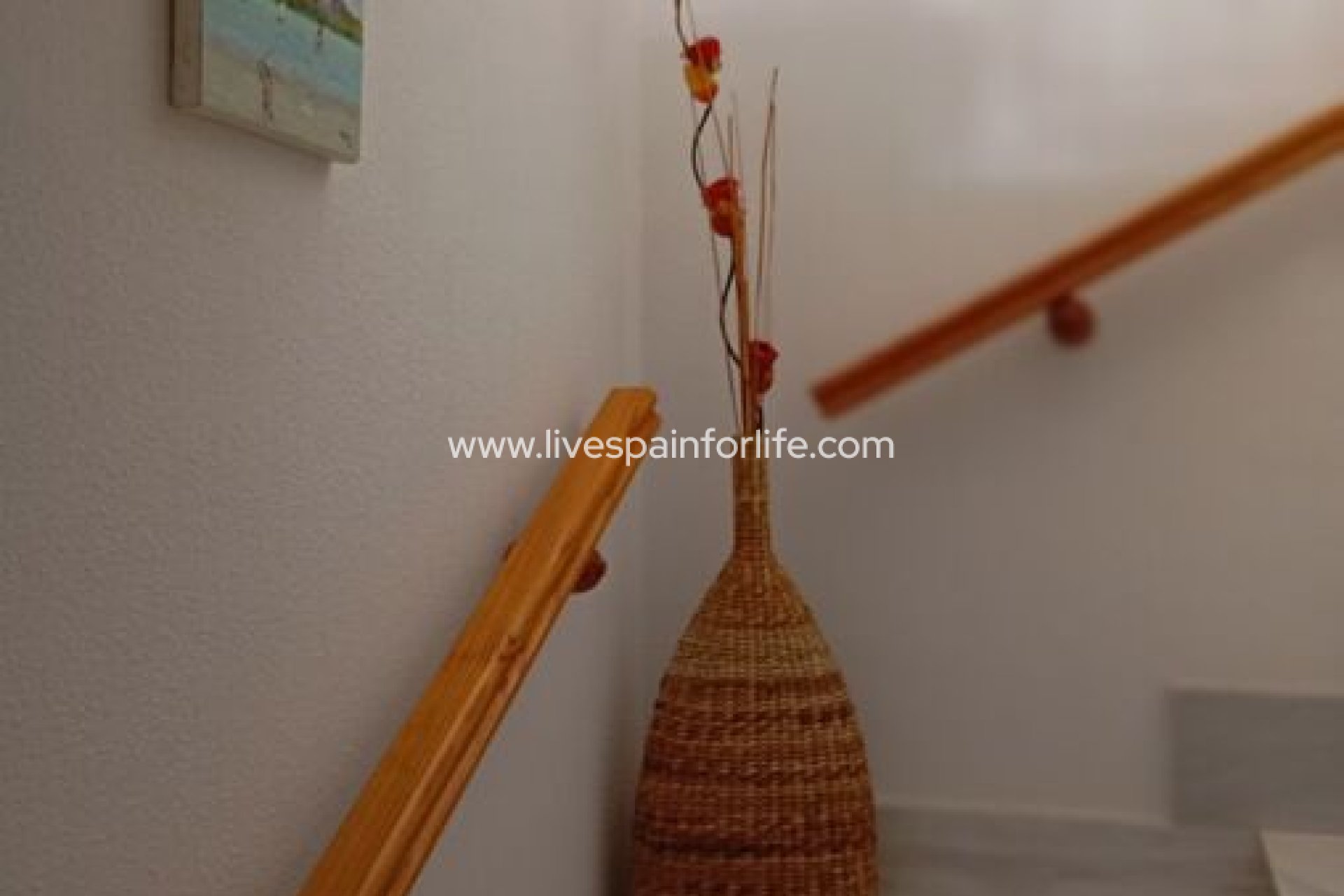 Revente - Apartments -
Daya Vieja