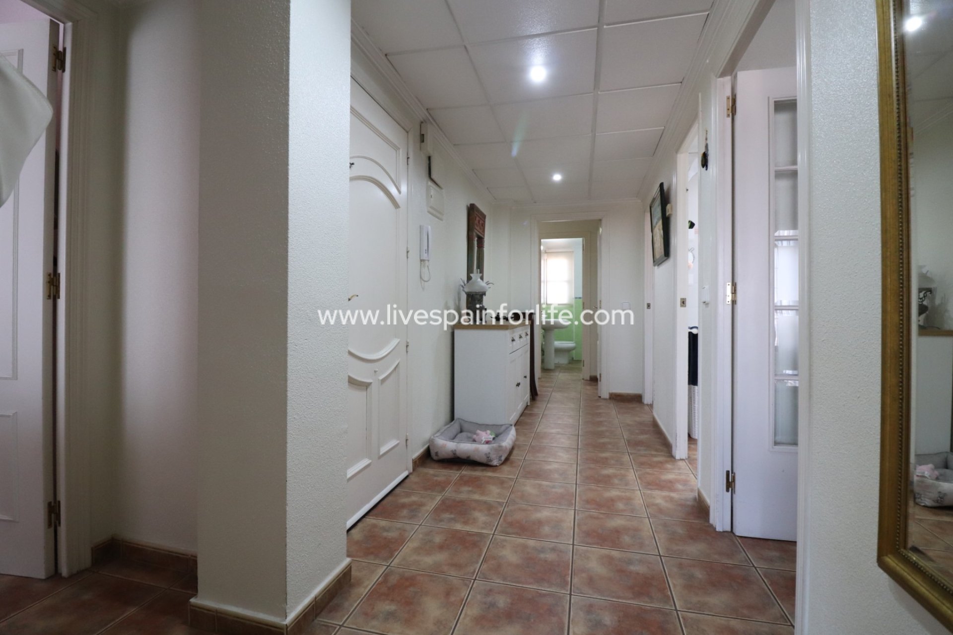 Revente - Apartments -
Dolores