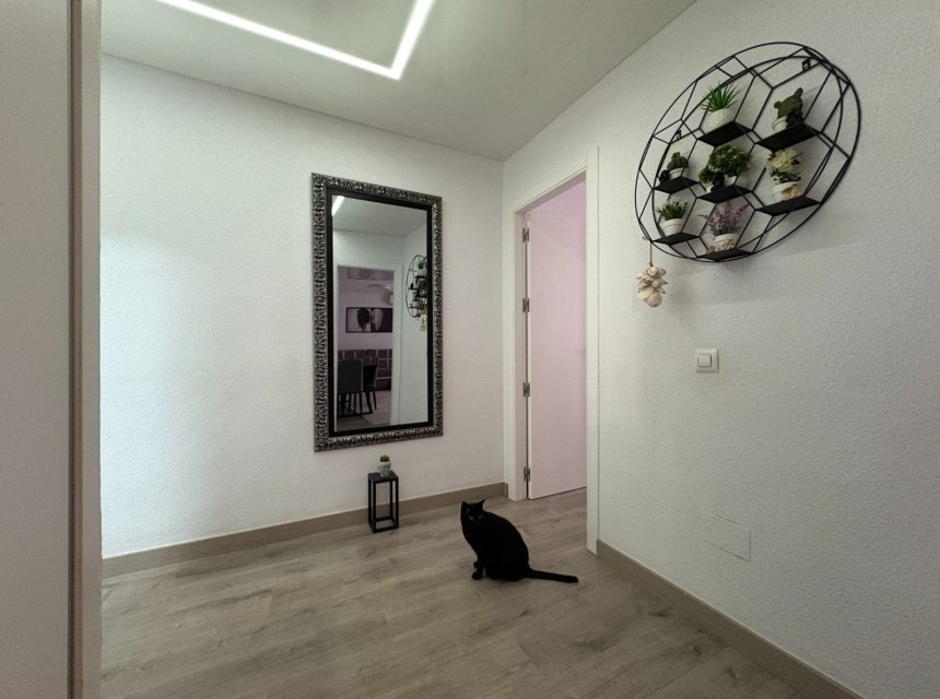 Revente - Apartments -
Torrevieja - Centro