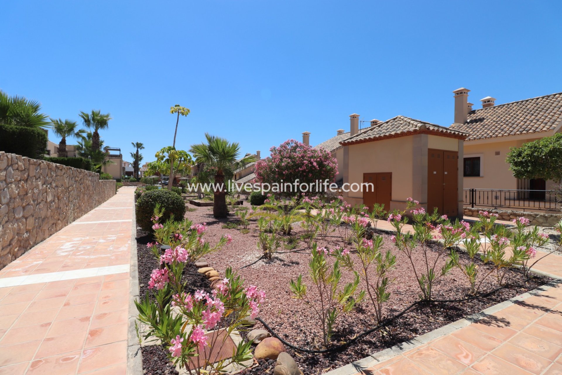 Revente - Bungalow -
Algorfa - La Finca Golf