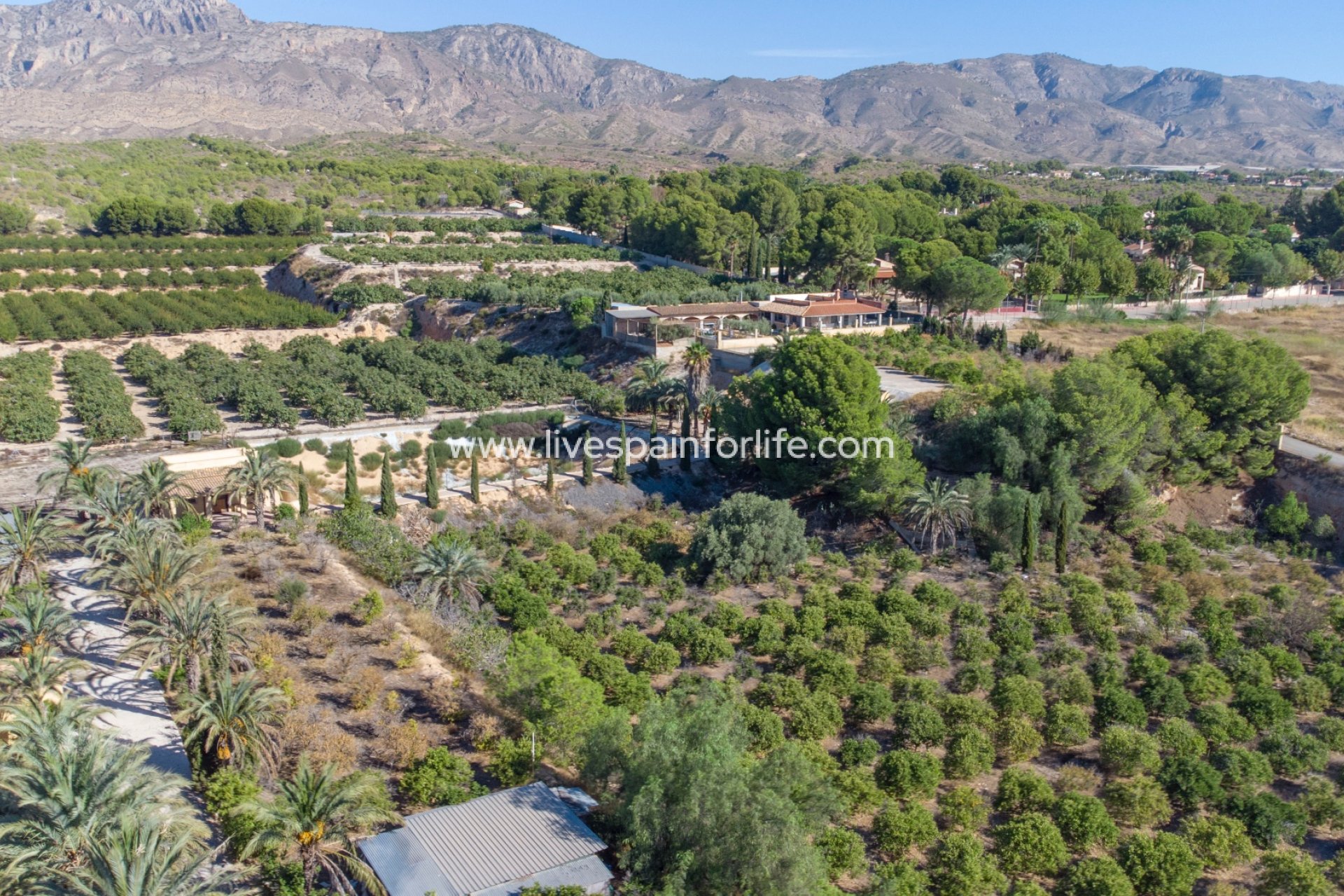 Revente - Cave maison -
Albatera