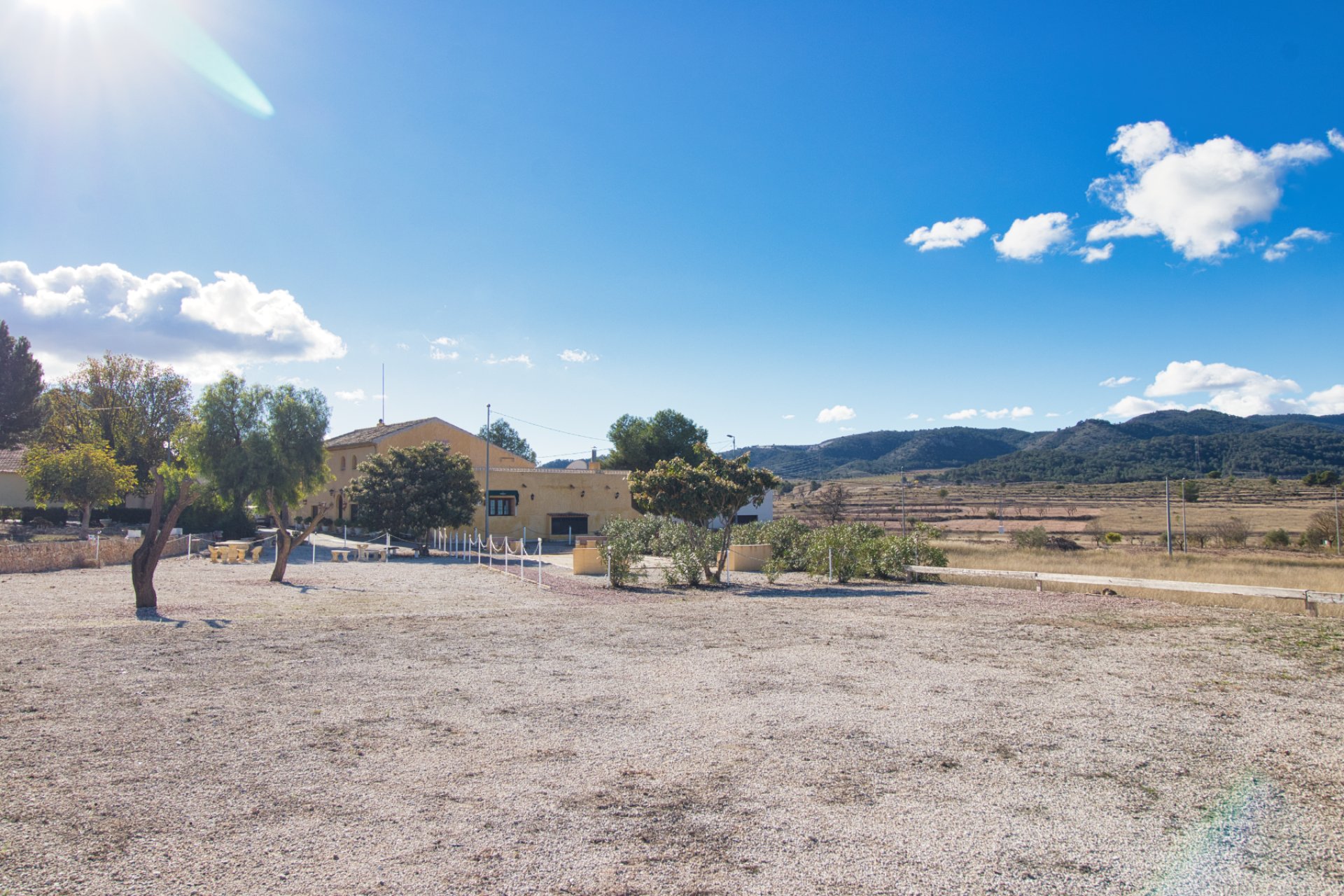 Revente - Commercial -
Abanilla