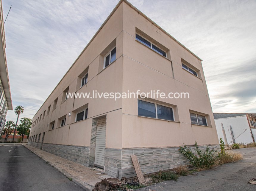 Revente - Commercial -
Elche