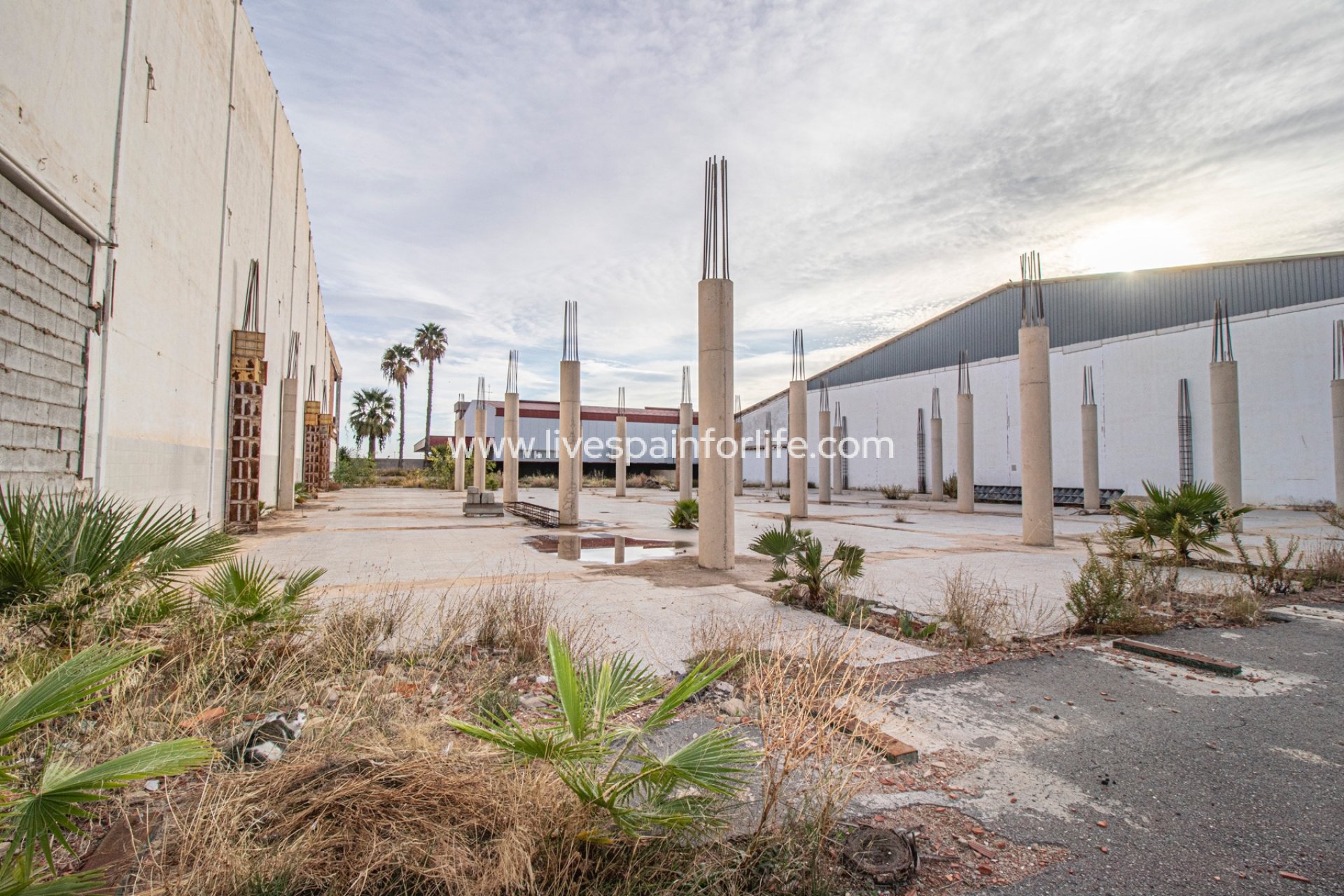 Revente - Commercial -
Elche