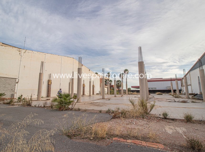 Revente - Commercial -
Elche