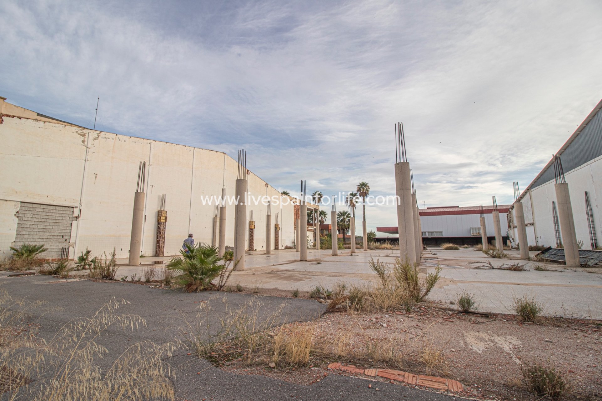 Revente - Commercial -
Elche