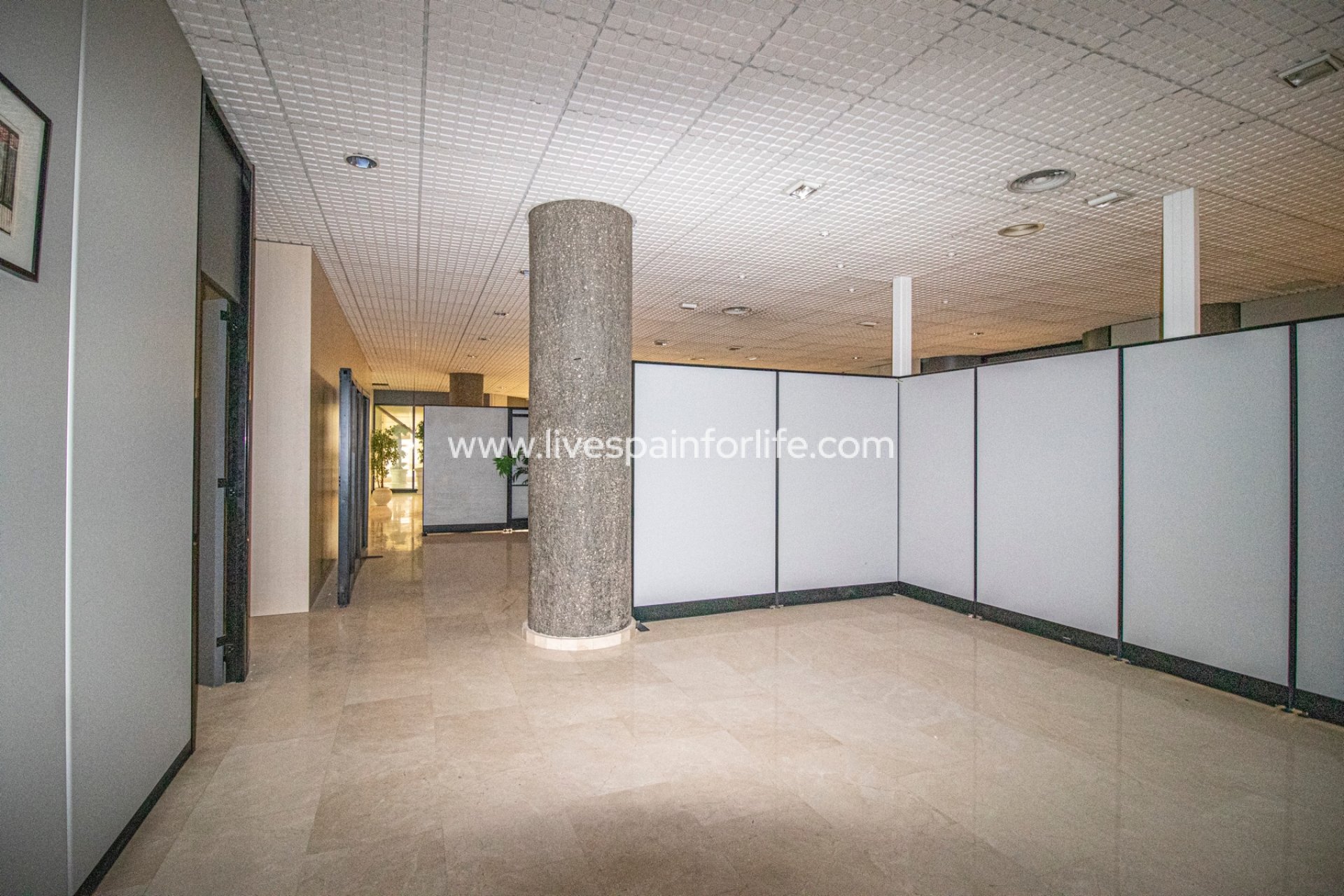 Revente - Commercial -
Elche